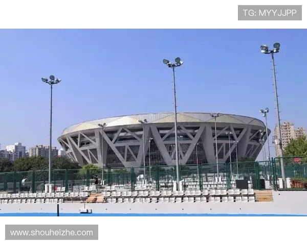 南京网球队的节奏探讨与战术创新分析之旅